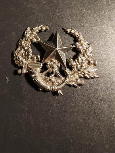 老王徽章第170期 - 英国卡梅伦步兵团帽徽    一战时期     背杆损坏