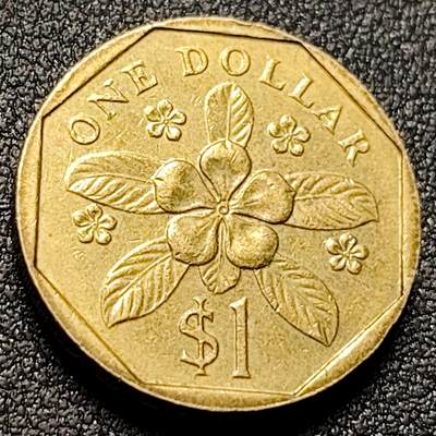 泉币菌-第150场-精品福利场 - 低盾卓锦 万代兰胡姬花兰花 1993年 新加坡1圆黄铜硬币22mm6.3g