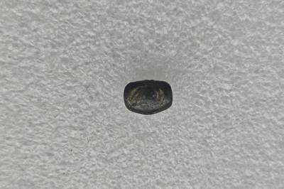 瓶子🏺第221期拍卖会 -  素可泰王朝象形海螺图案屁股锭银锭