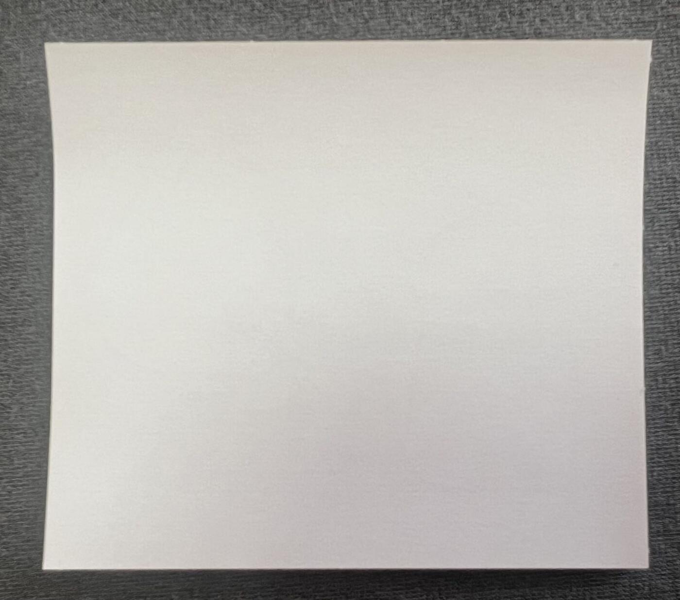 【日本邮票】2022年 虎年贴纸邮票 