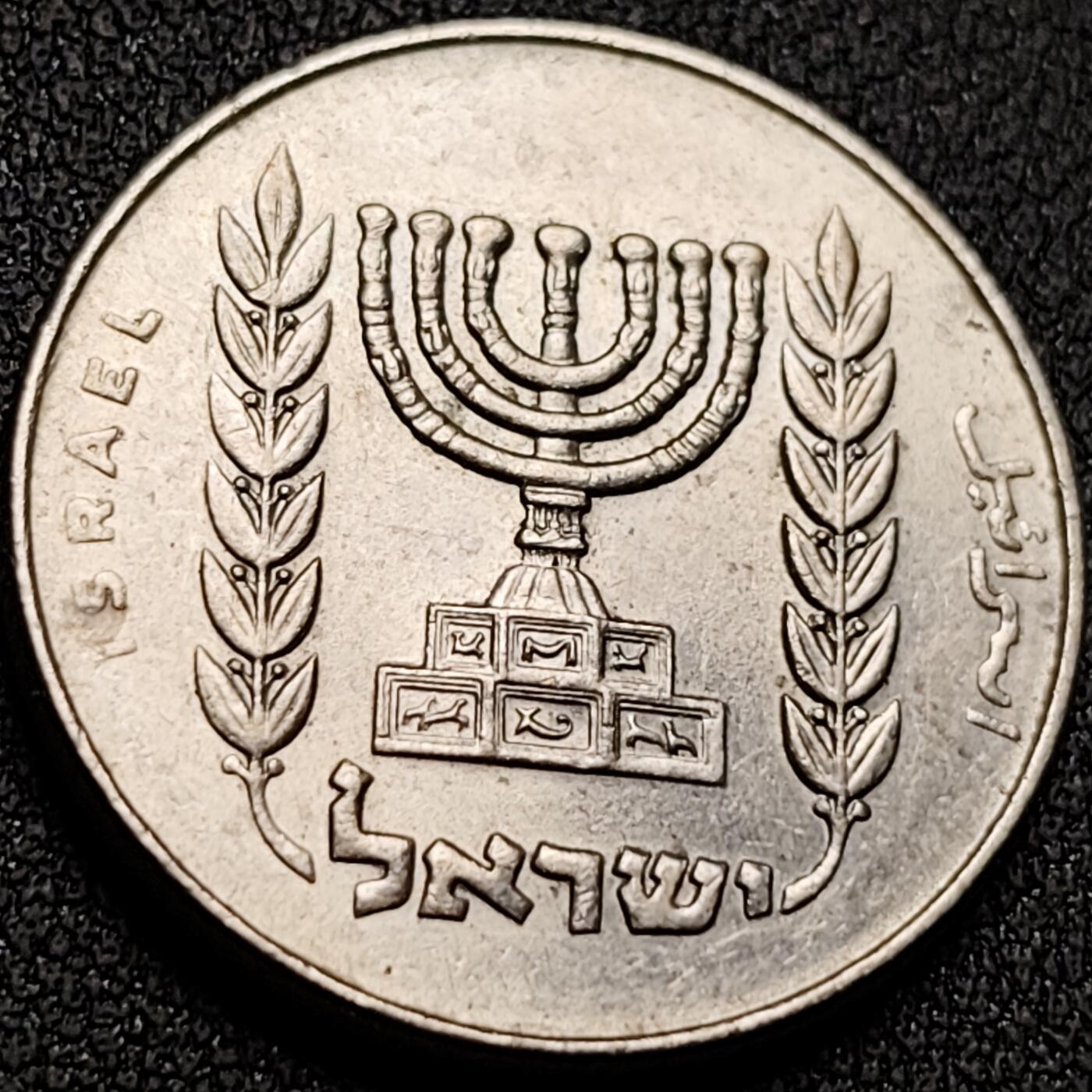 泉币菌-第151场-精品福利场 。