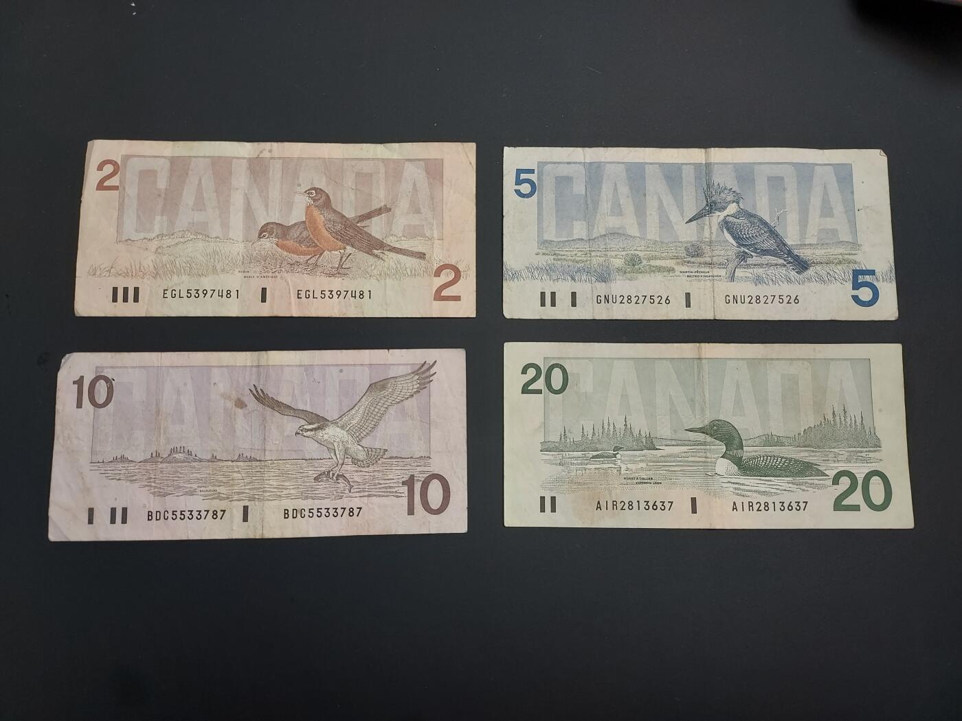 博彦收藏    12月22日 8点 钱币专场 全场包邮 加拿大 女皇鸟版 2/5/10/20 一组 流通品
