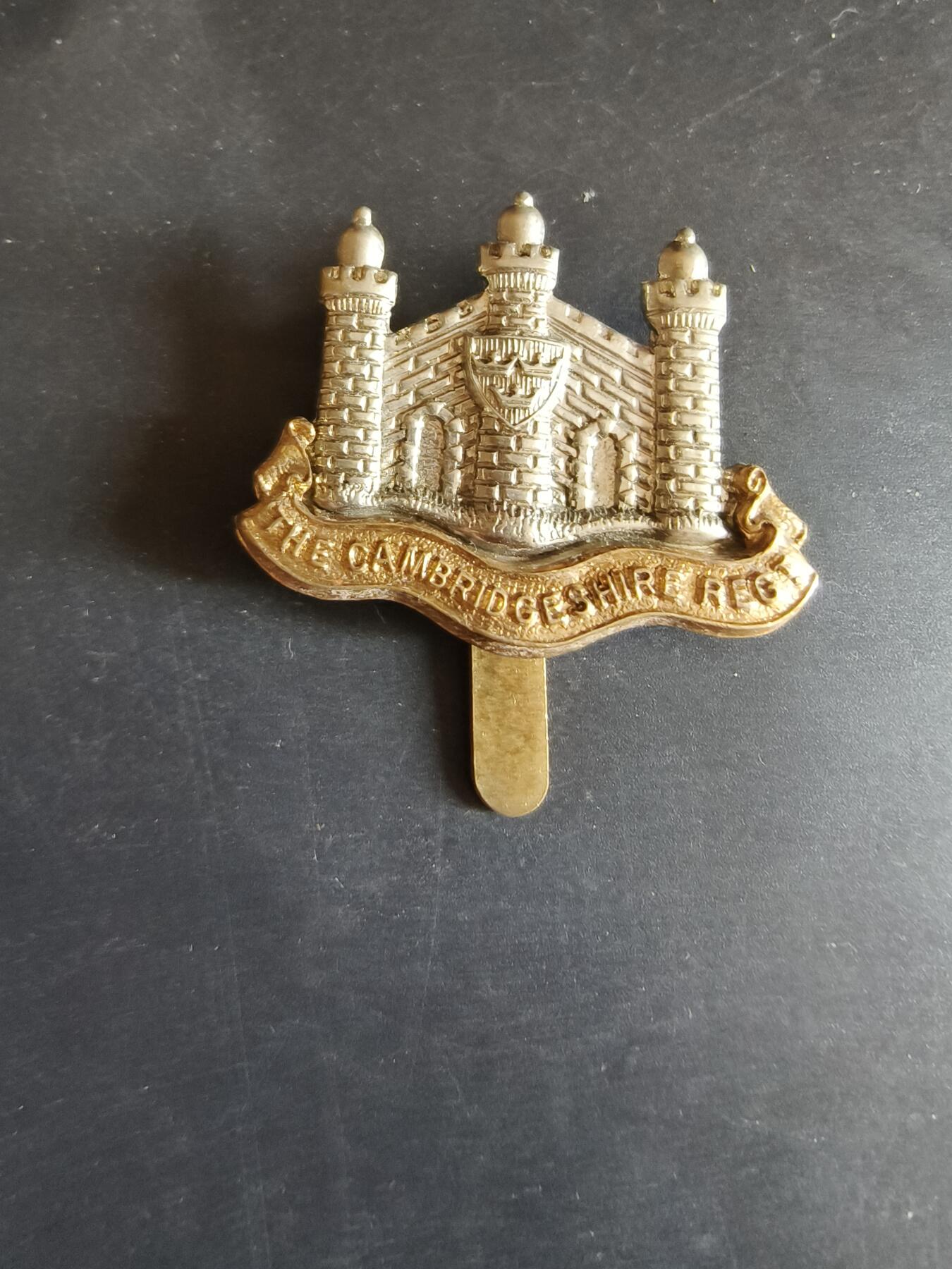 老王徽章第170期