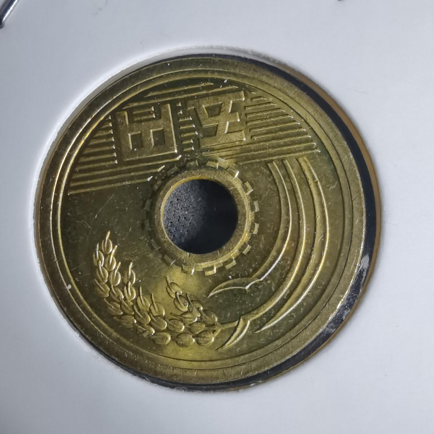 沼泽如烟--第939场 平成二十七年五元