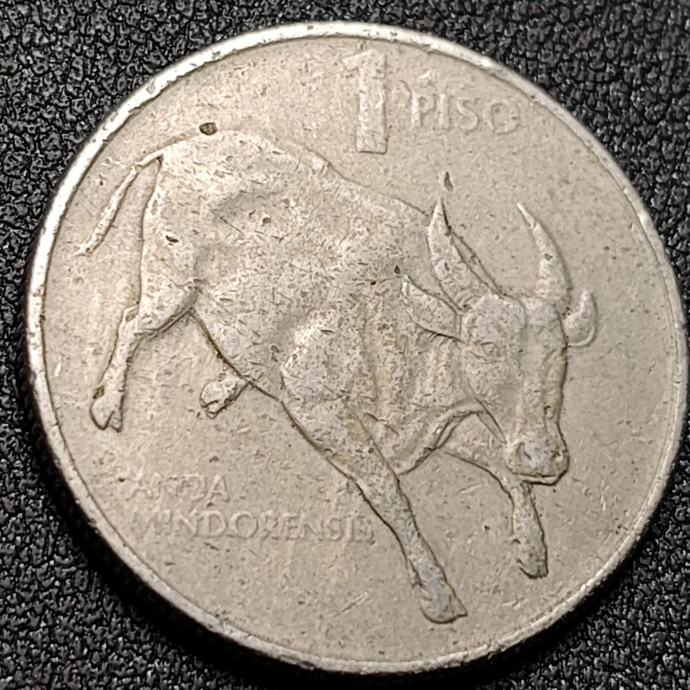 泉币菌-第151场-精品福利场 。