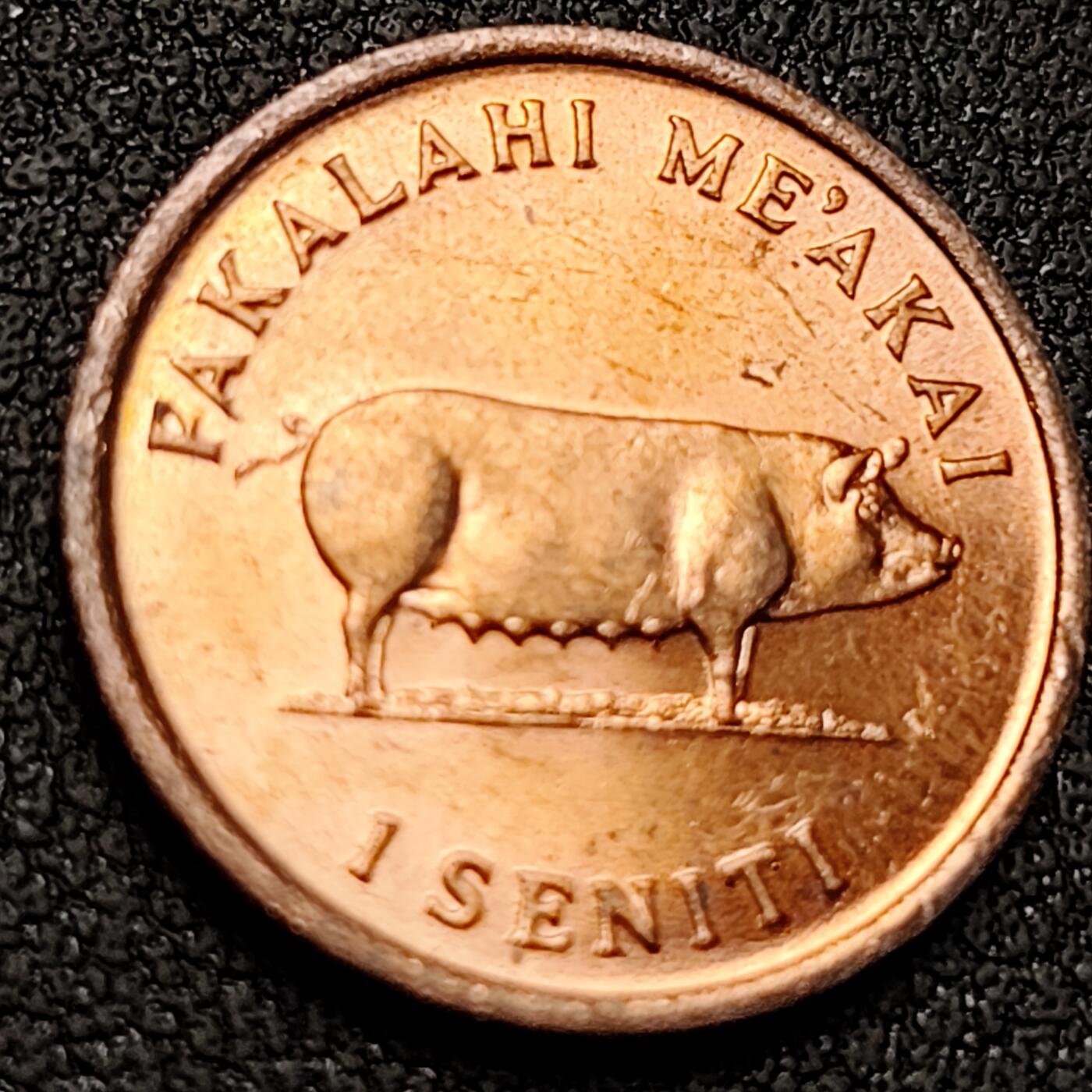 泉币菌-第151场-精品福利场 。