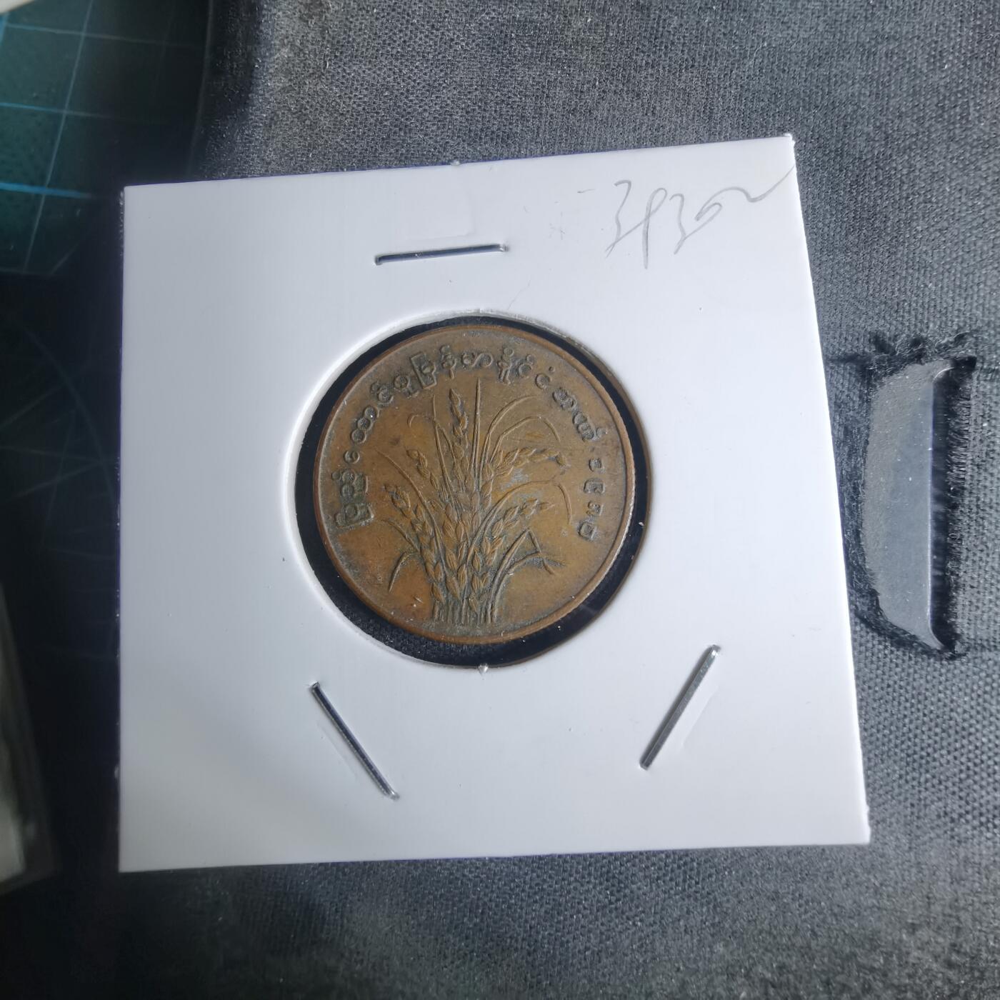 沼泽如烟--第939场