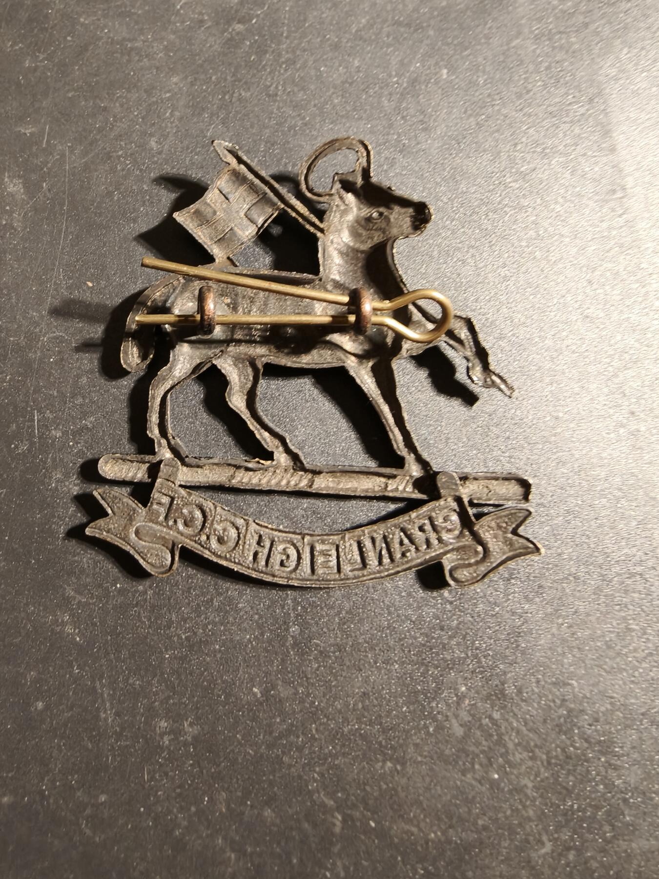 老王徽章第170期