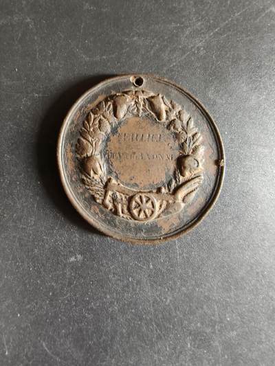 老王徽章第170期 - 法国农业协会大铜章     直径38mm    重量19.4g