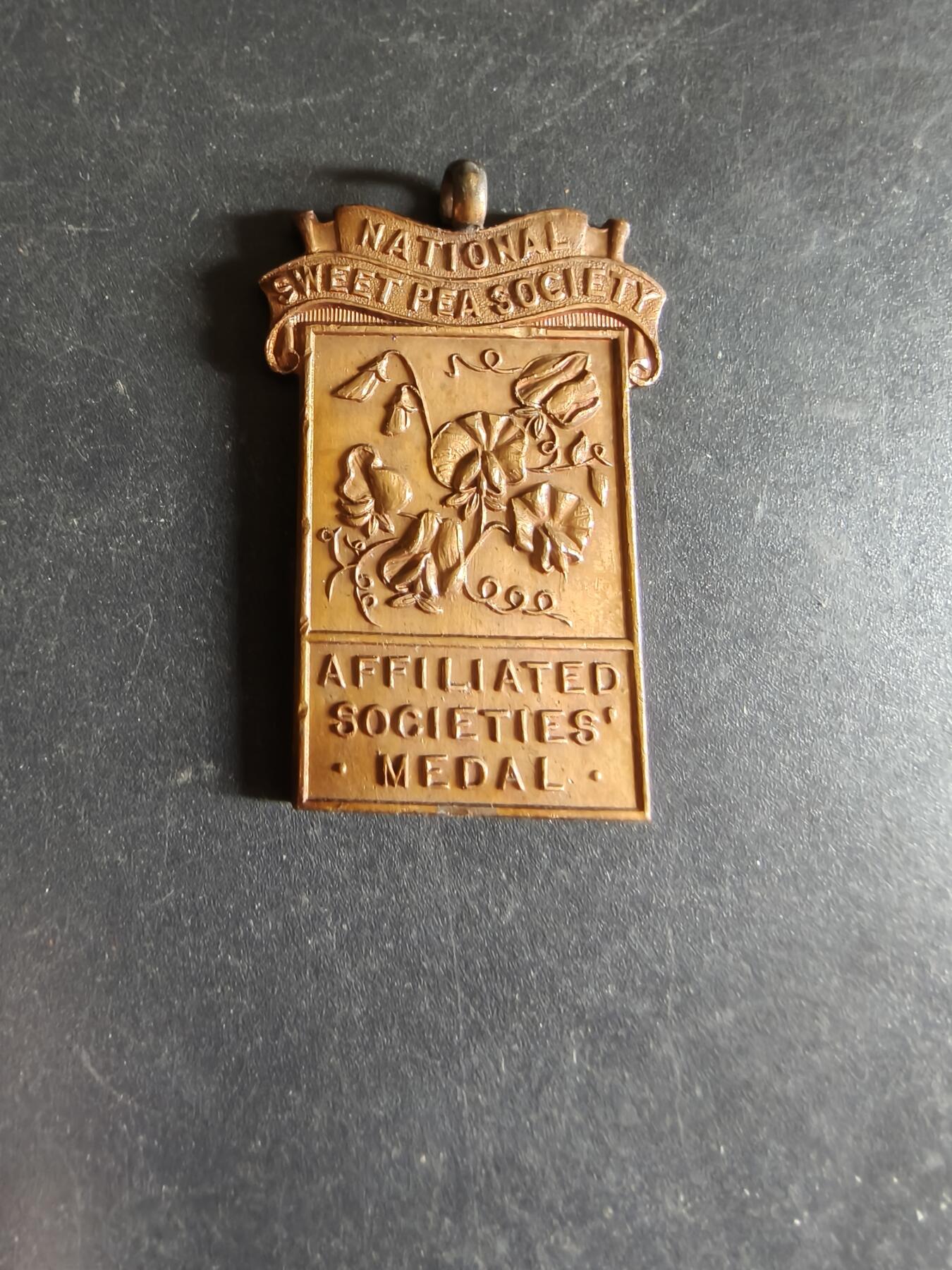 老王徽章第170期