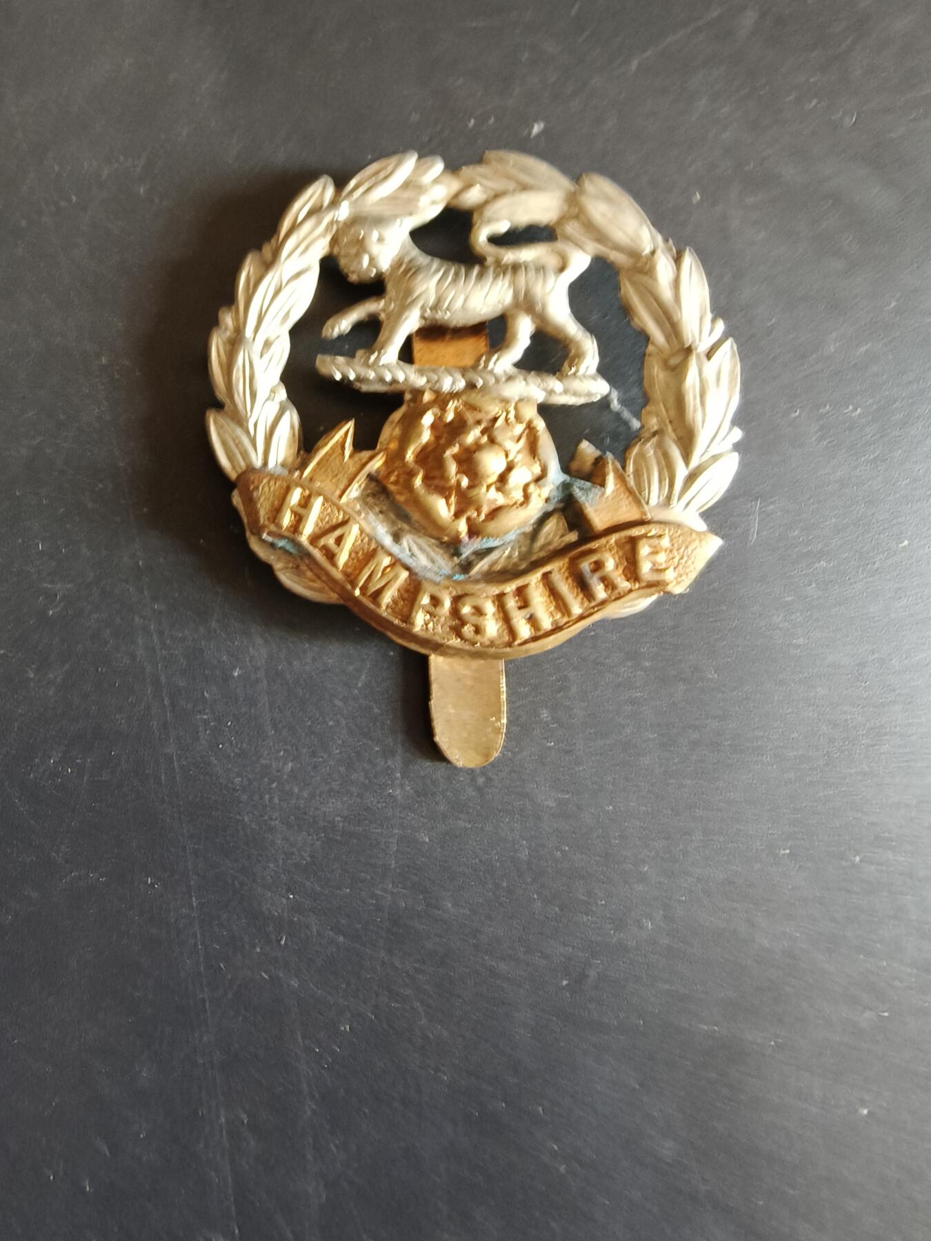 老王徽章第170期