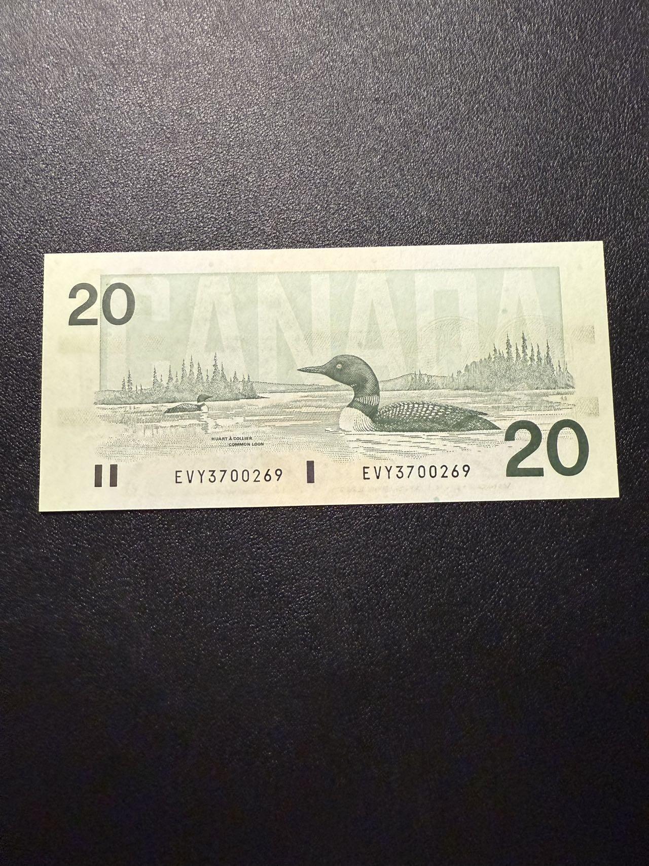 第14期 库存低价起拍 加拿大 鸟版10 全新unc 尾269