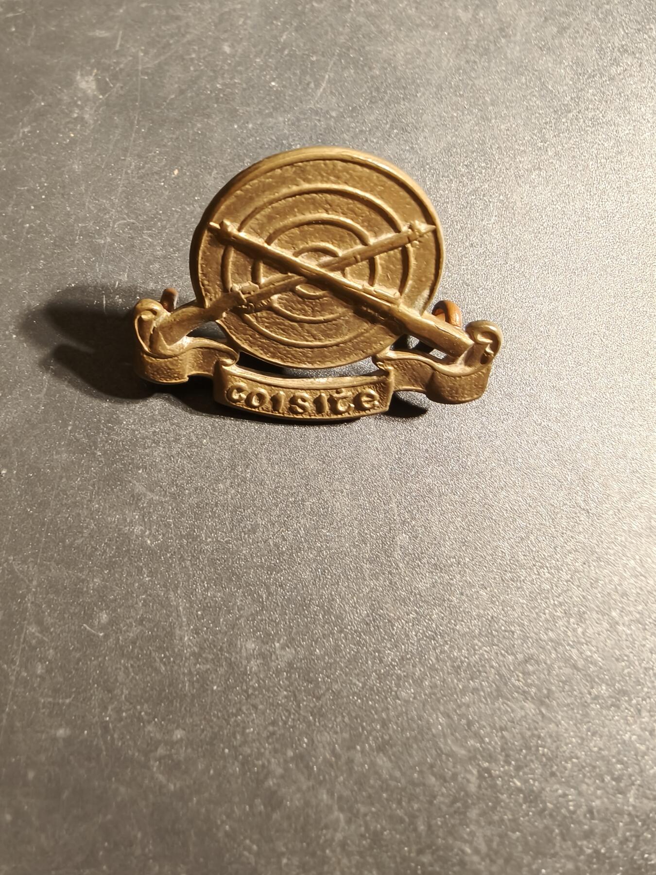 老王徽章第170期