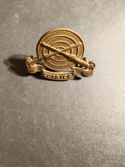 老王徽章第170期 - 爱尔兰国防军帽徽    二战时期