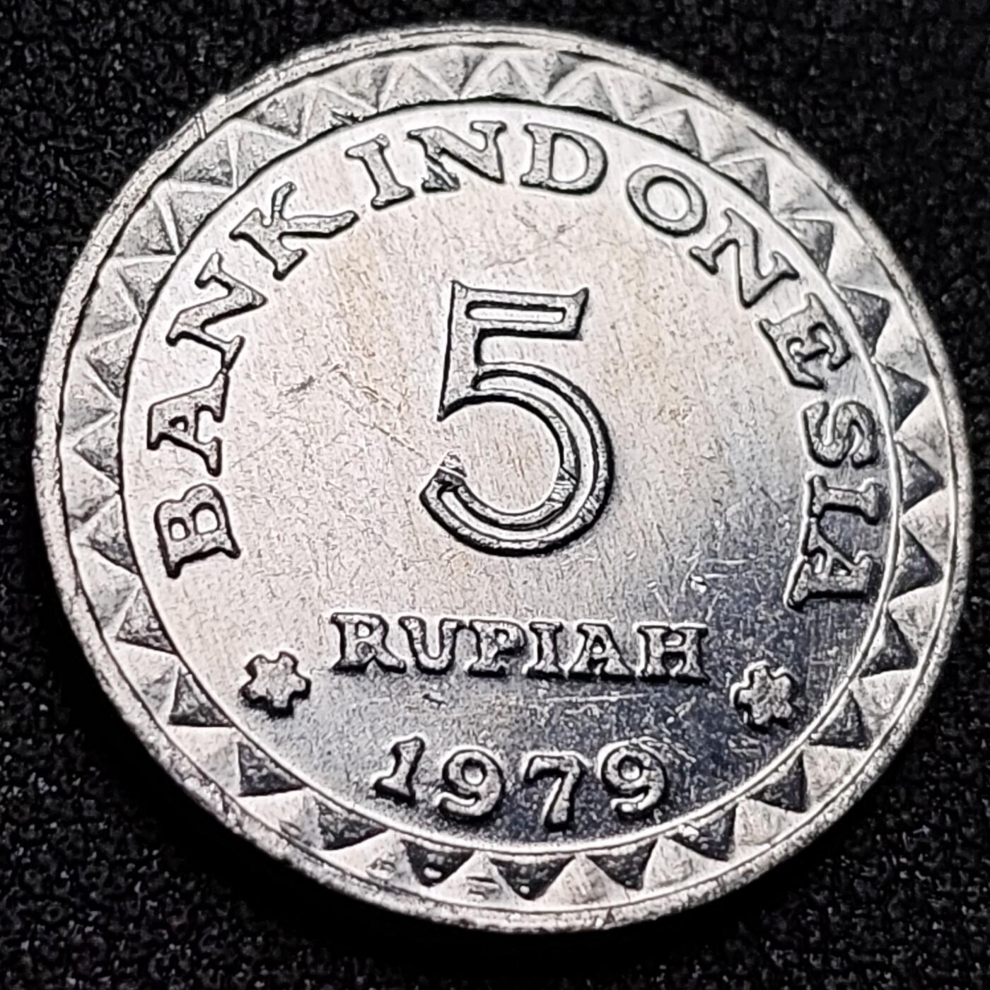 泉币菌-第151场-精品福利场 。