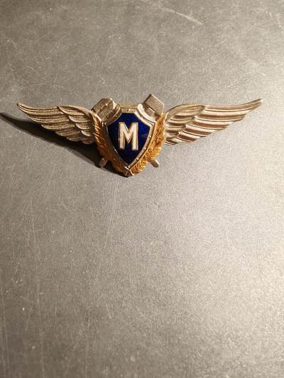 老王徽章第170期 - 俄罗斯空军M级机械师技能章