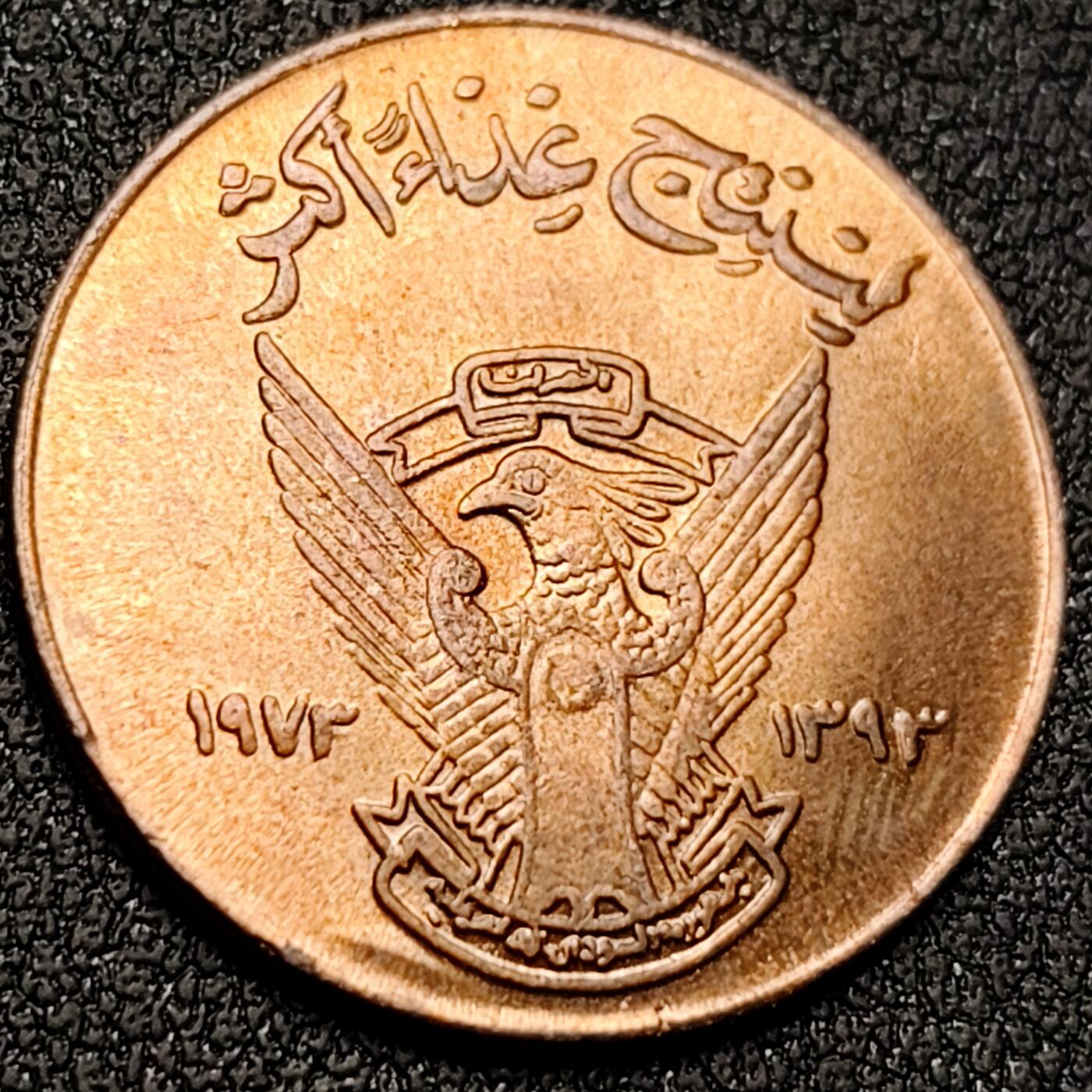 泉币菌-第151场-精品福利场 。