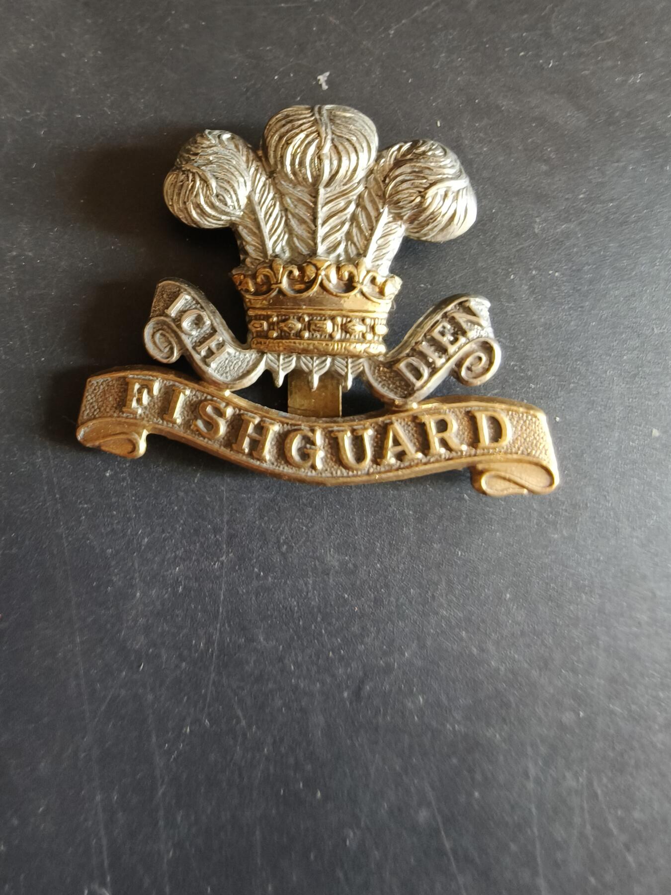 老王徽章第170期