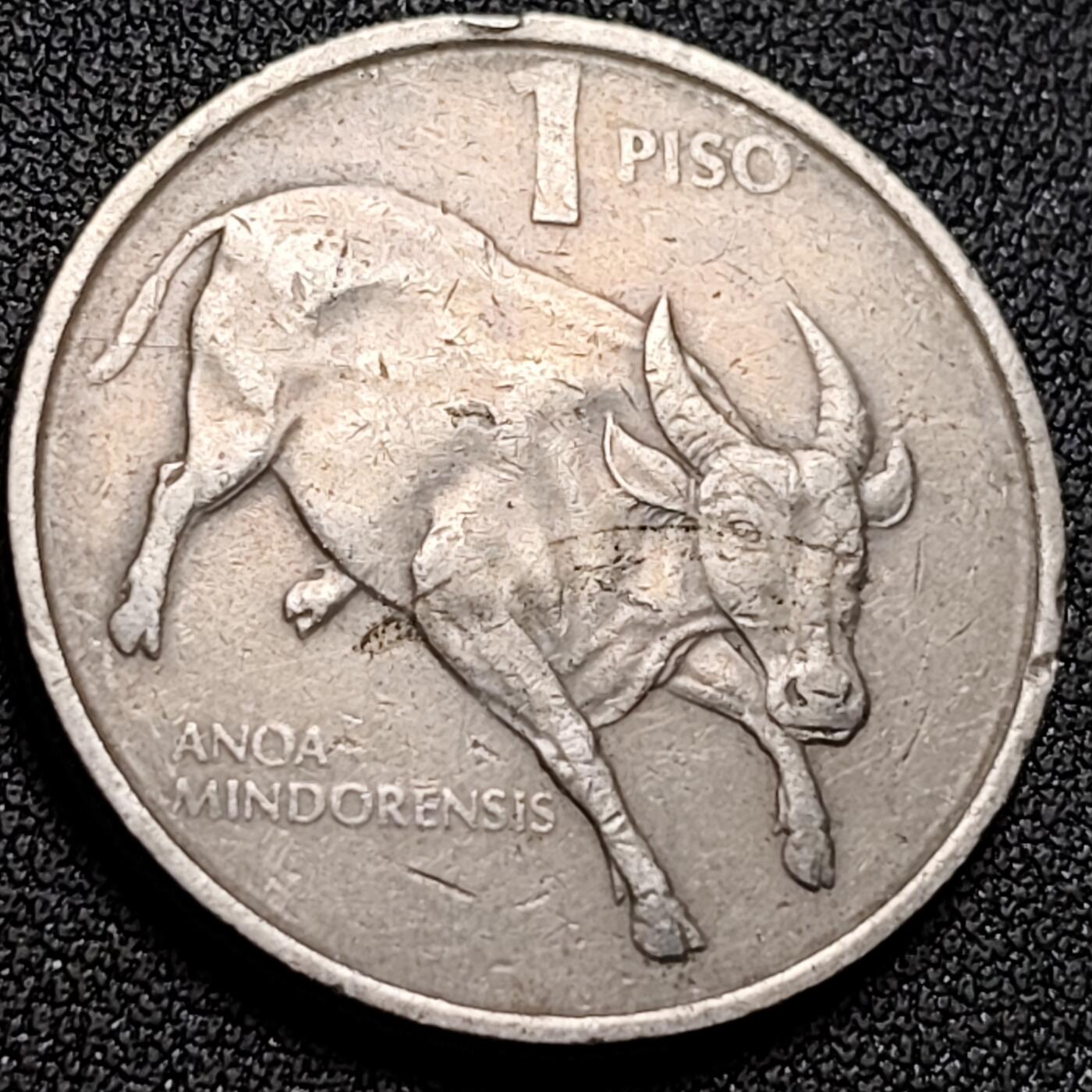 泉币菌-第150场-精品福利场 。