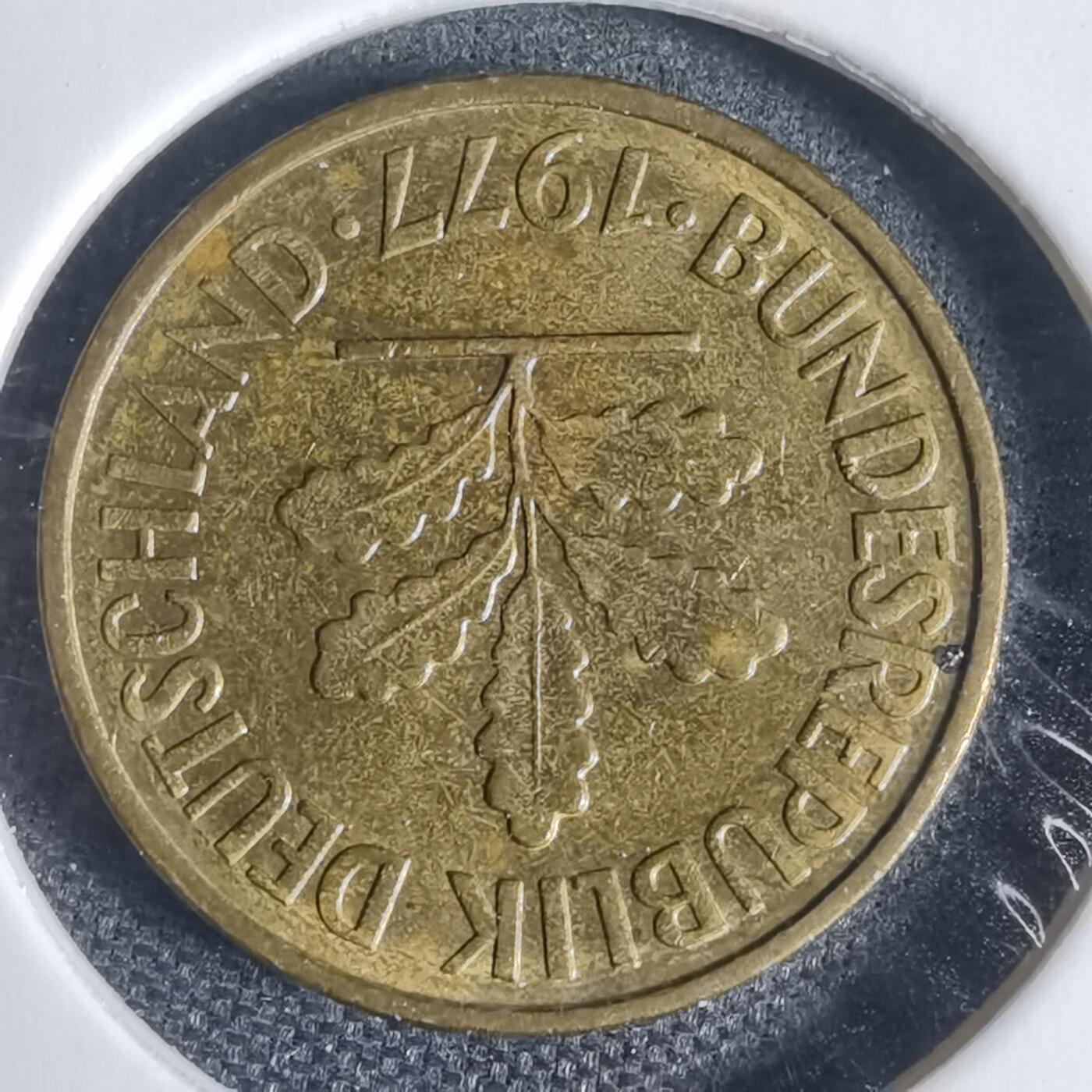 沼泽如烟--第937场