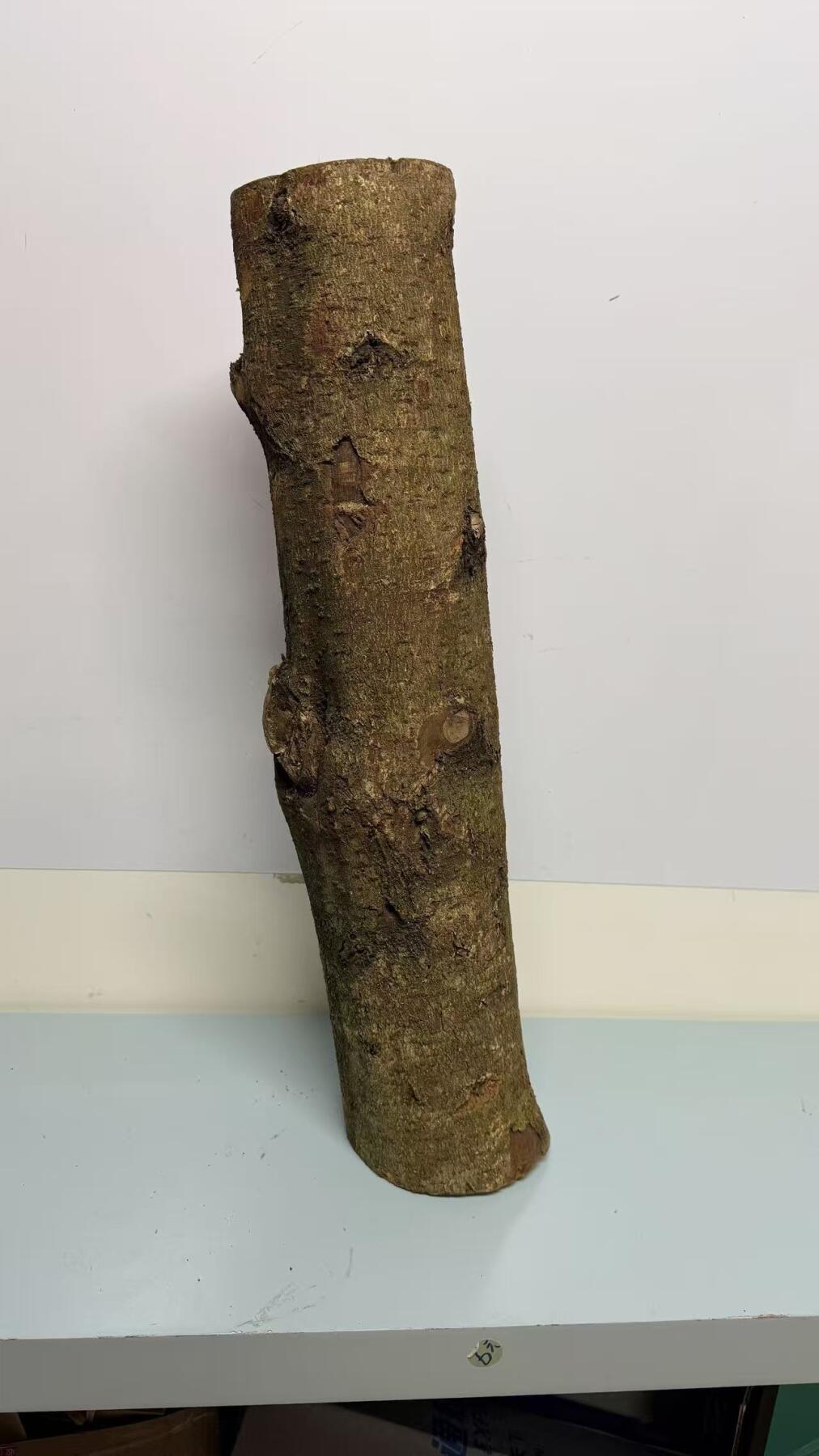 零元拍： S1-1 金丝楠 原木 风水柱 横财（材）带皮， 尺寸：60/11.5/13.5CM。抛光后金灿灿满香。最后一图为成品效果。