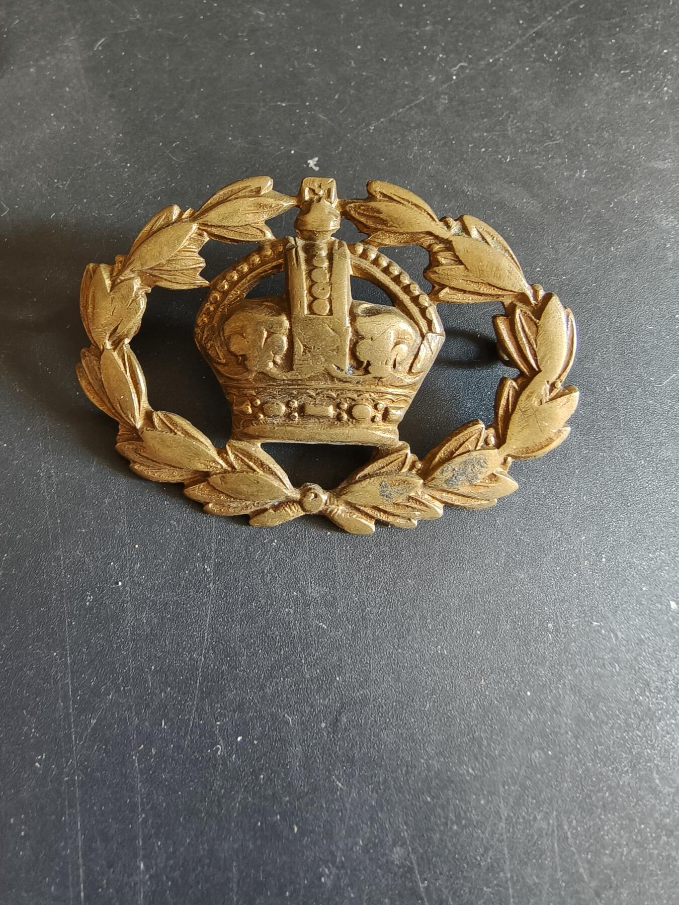 老王徽章第170期