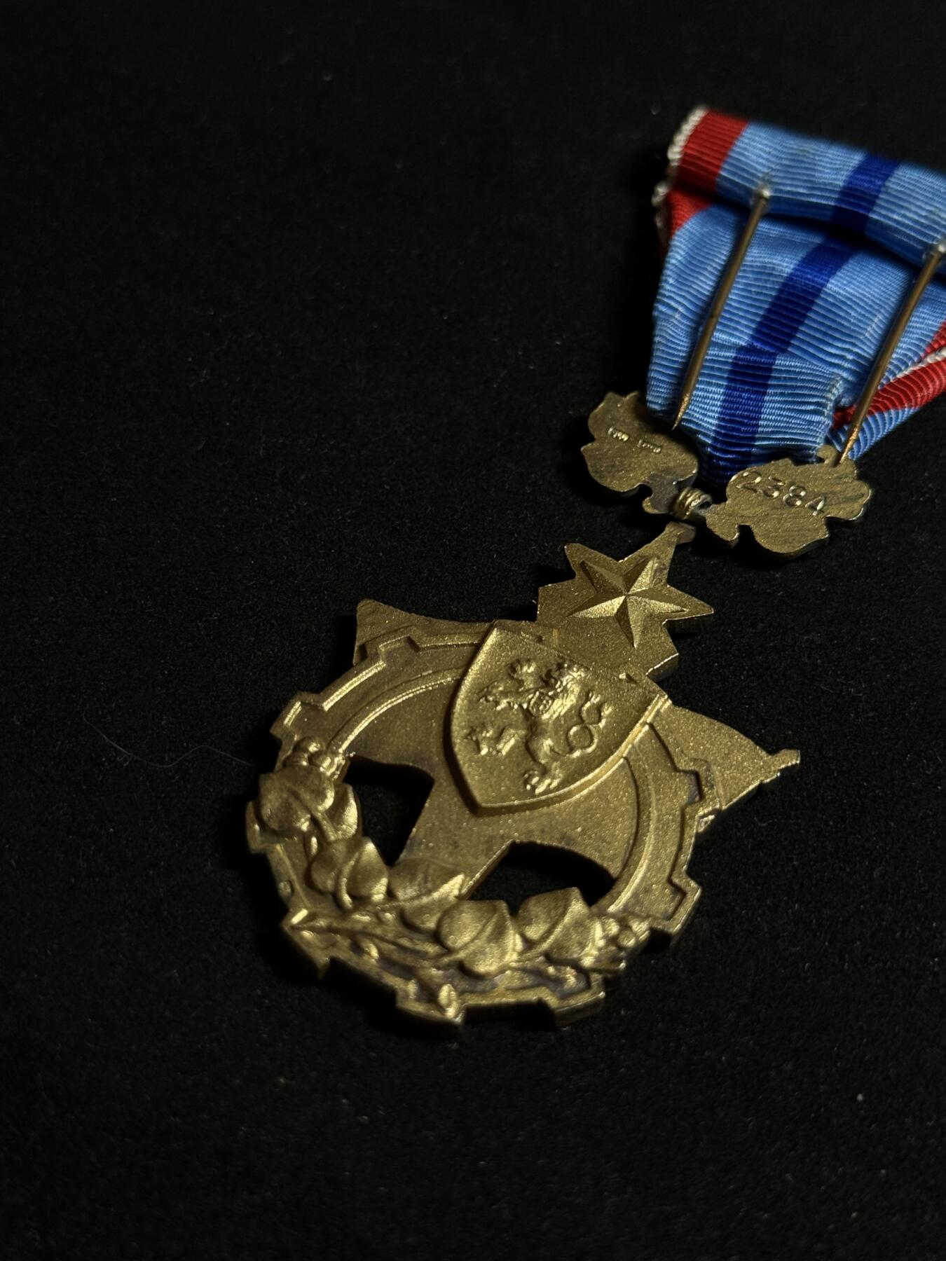 欢庆元旦！戎马世界章牌大赏第109期元旦大拍