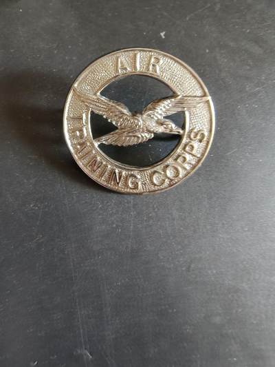 老王徽章第170期 - 英国皇家空军训练团帽徽    女王时期