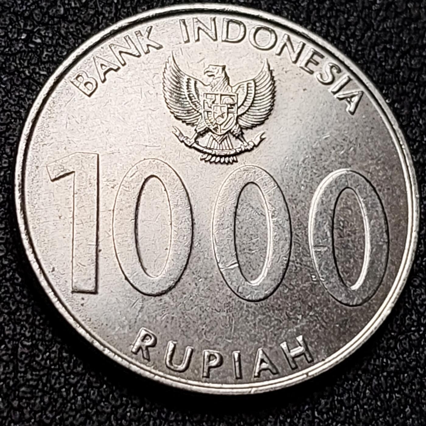 泉币菌-第150场-精品福利场 。