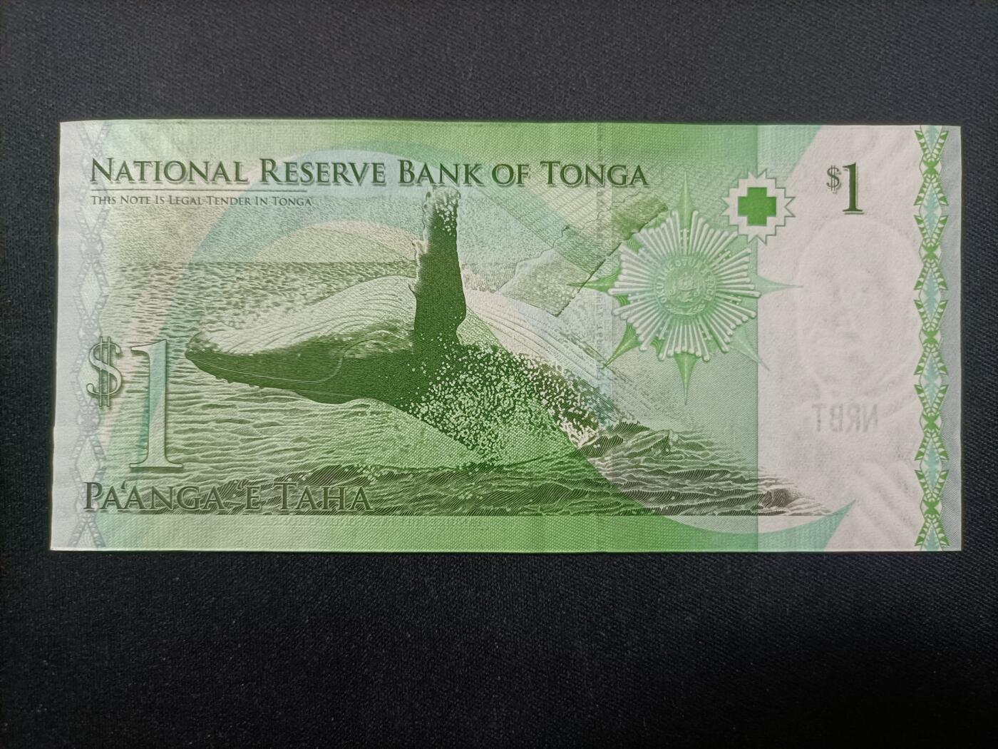 【游宝拍卖】乙巳蛇年99期 年末福尾场