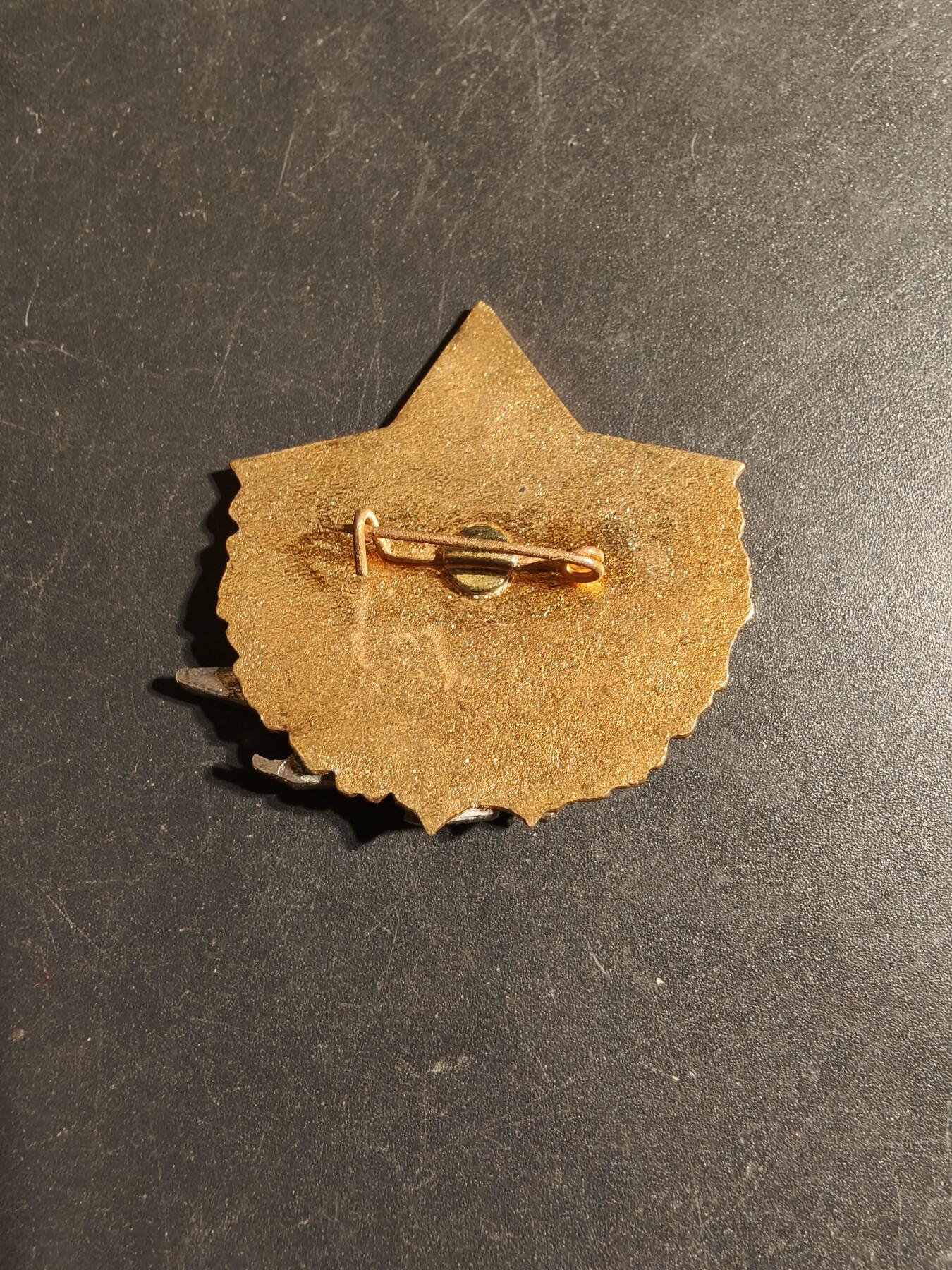 老王徽章第170期