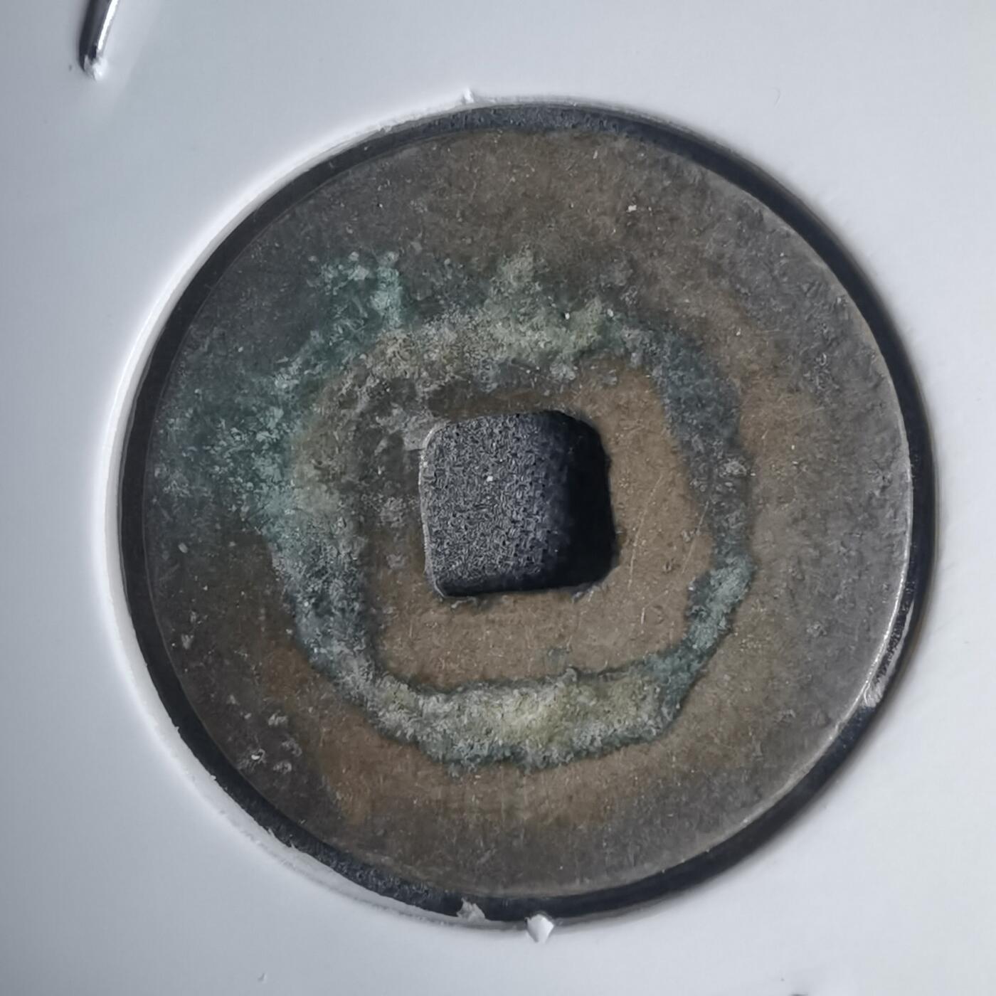 沼泽如烟--第939场 景兴大宝？