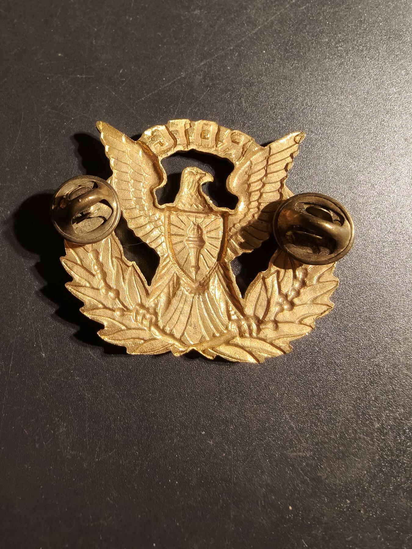 老王徽章第170期