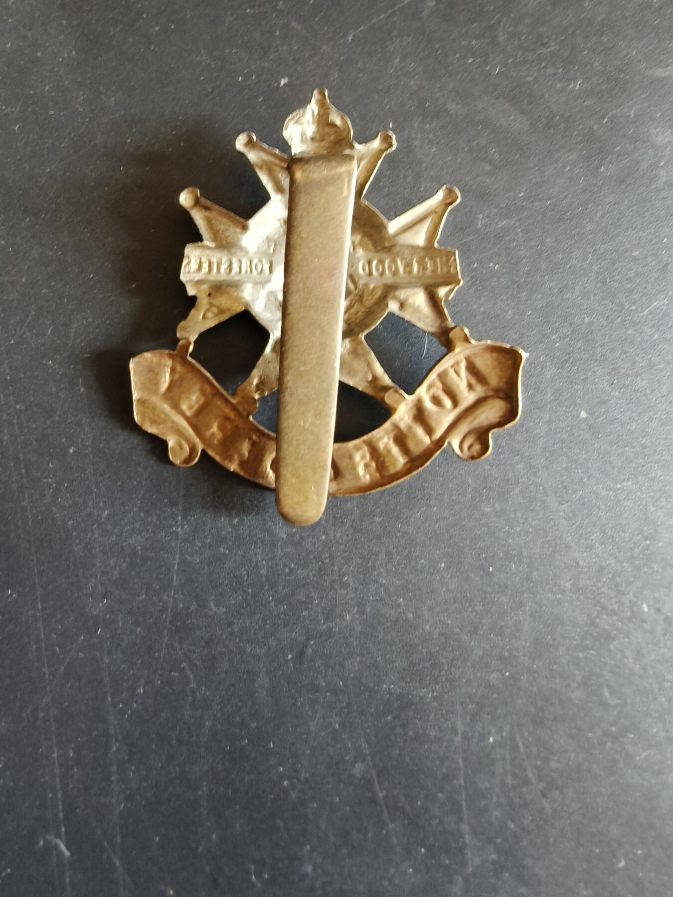 老王徽章第170期