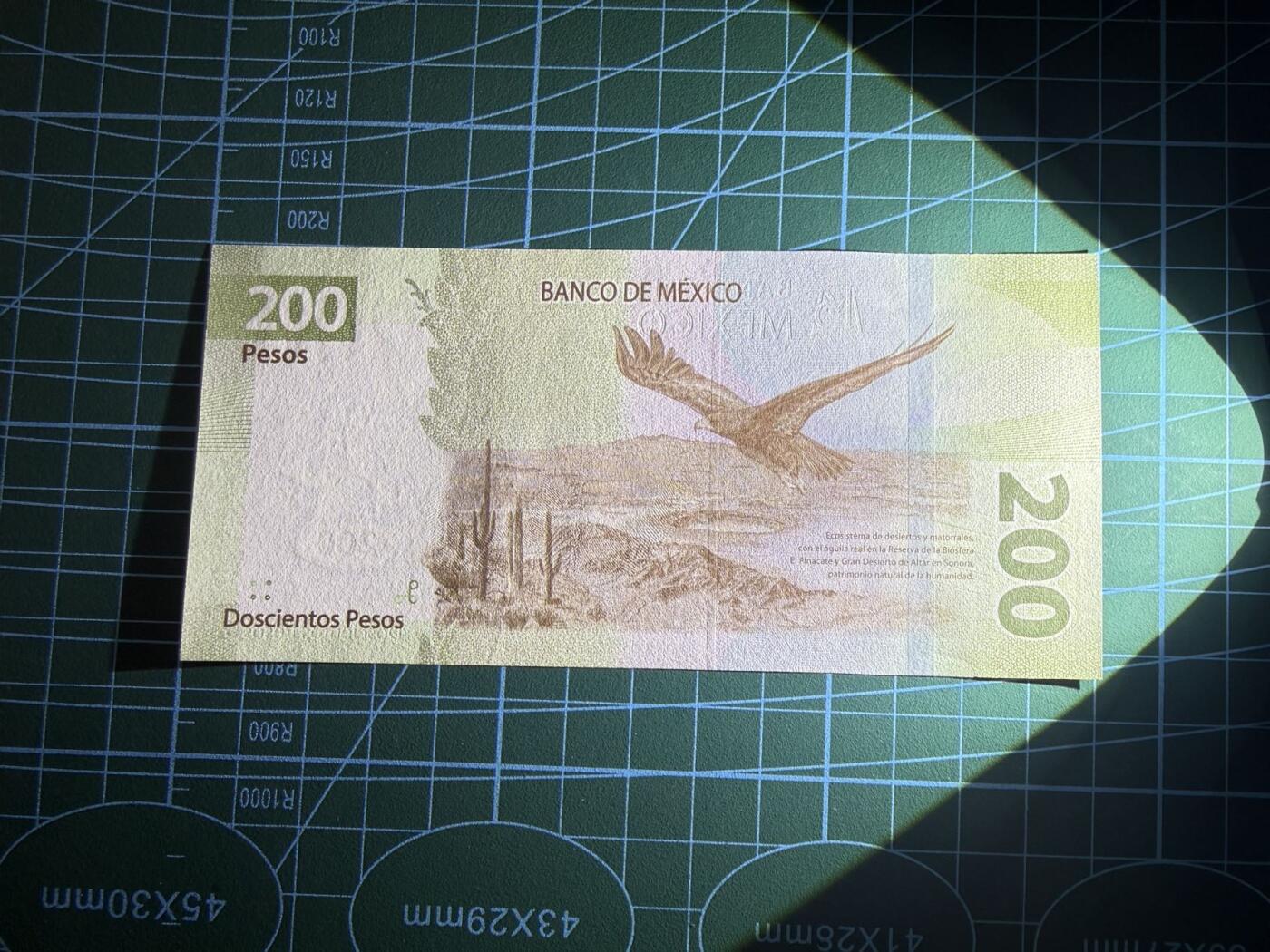 【炜奕收藏】，第五十三期