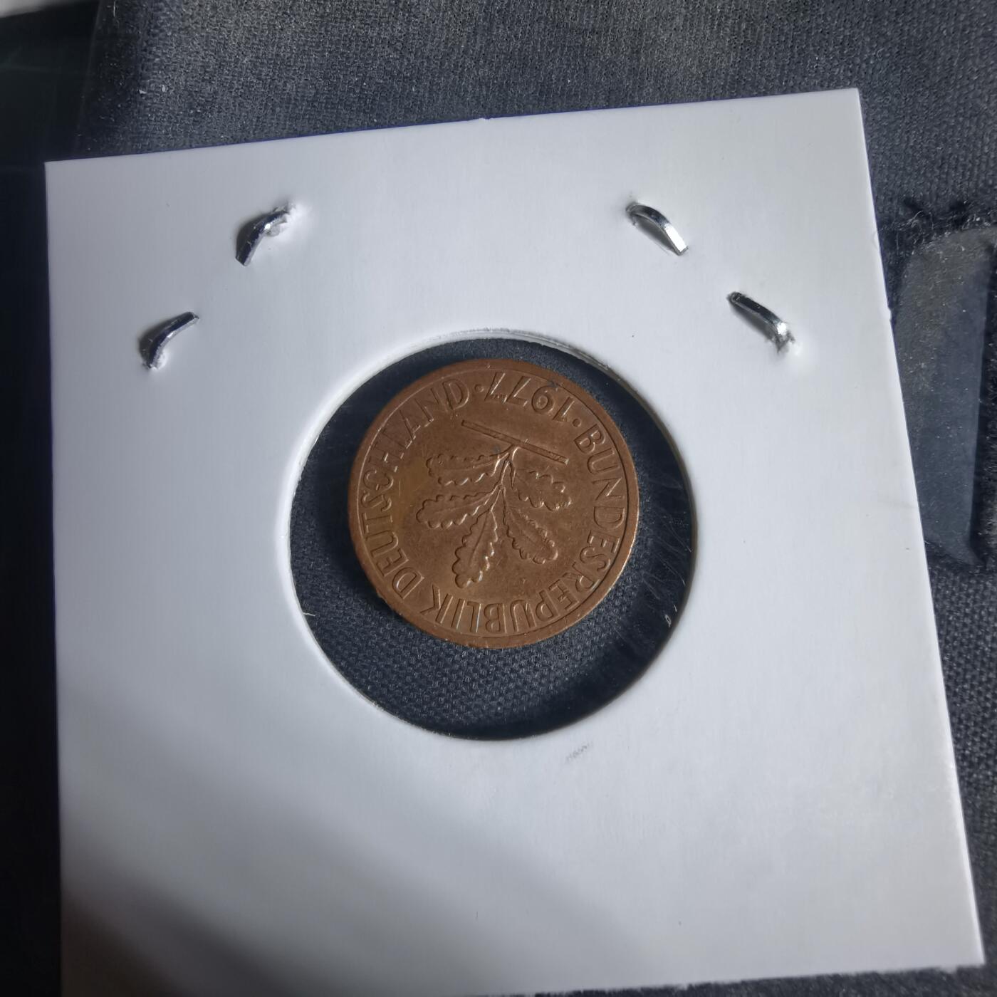 沼泽如烟--第937场