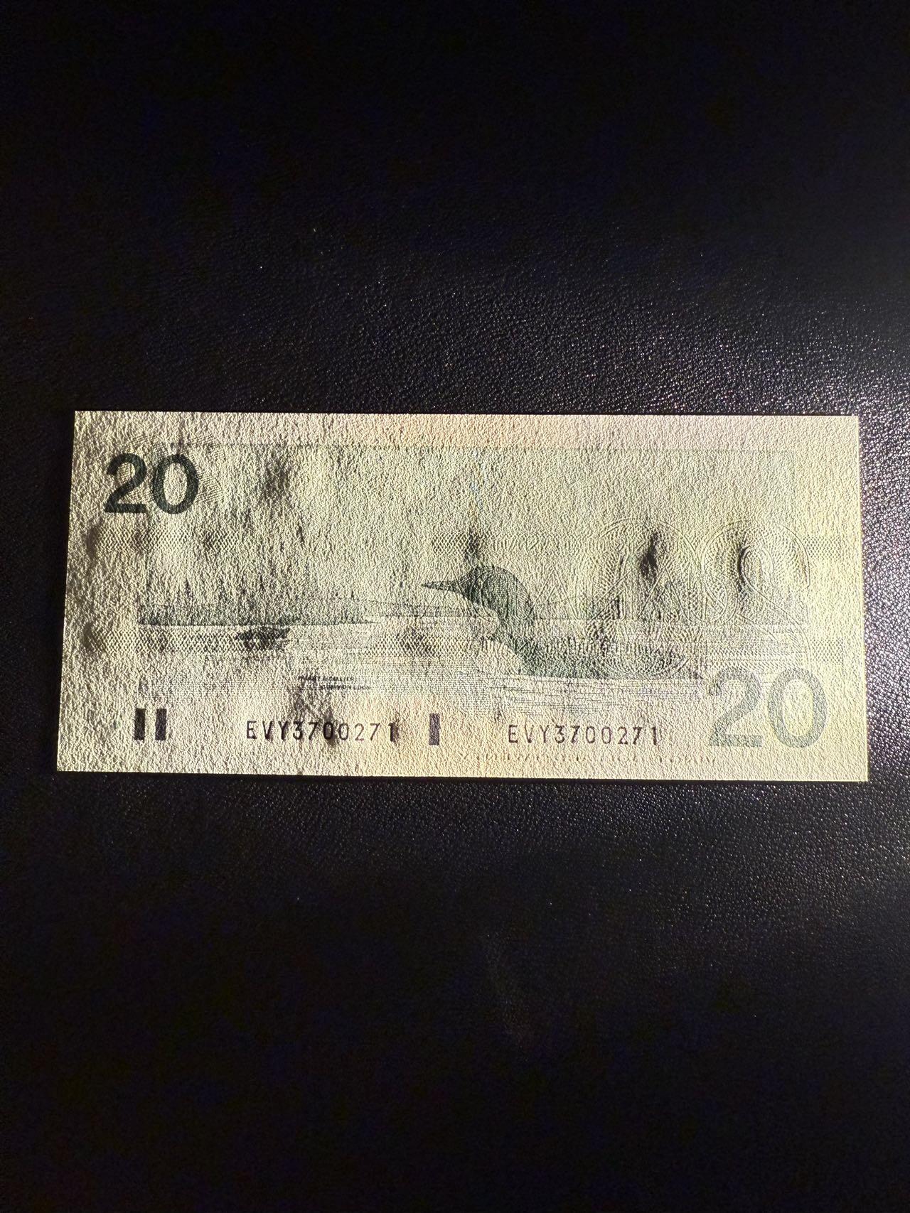 第14期 库存低价起拍 加拿大 鸟版20 全新unc 尾271