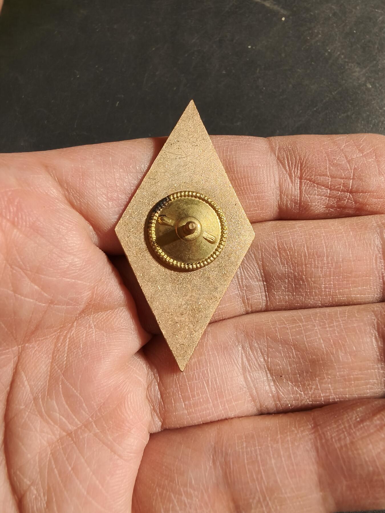 老王徽章第170期