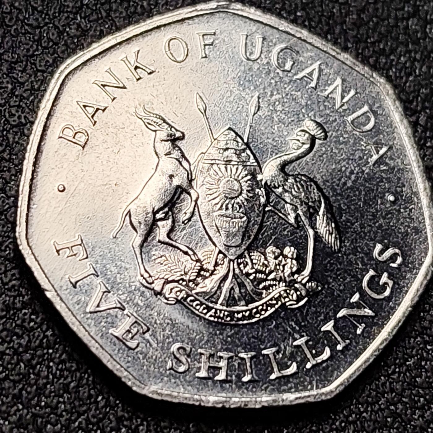 泉币菌-第151场-精品福利场 。