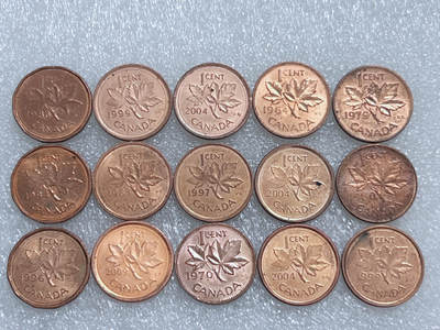 第一海外回流一元起拍收藏 散集专场  第277期 - 加拿大枫叶1分硬币 15枚