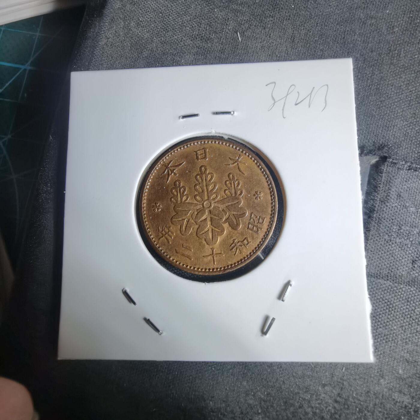 沼泽如烟--第939场