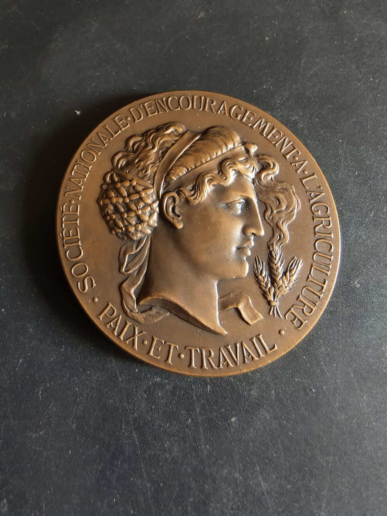 老王徽章第170期