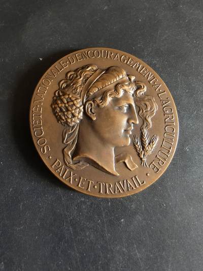 老王徽章第170期 - 法国国家农业促进协会大铜章     直径50mm     重量71.1g