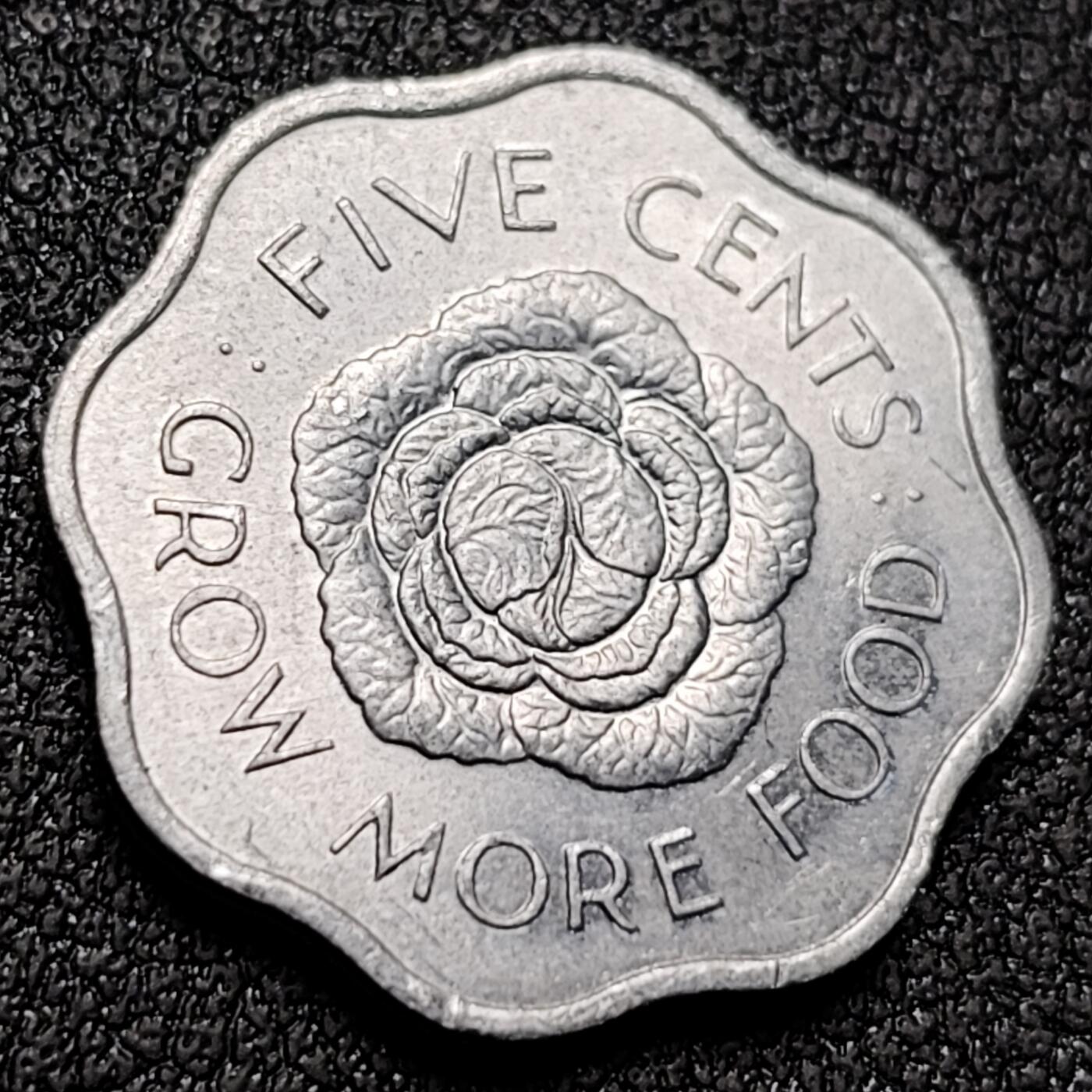 泉币菌-第151场-精品福利场 。