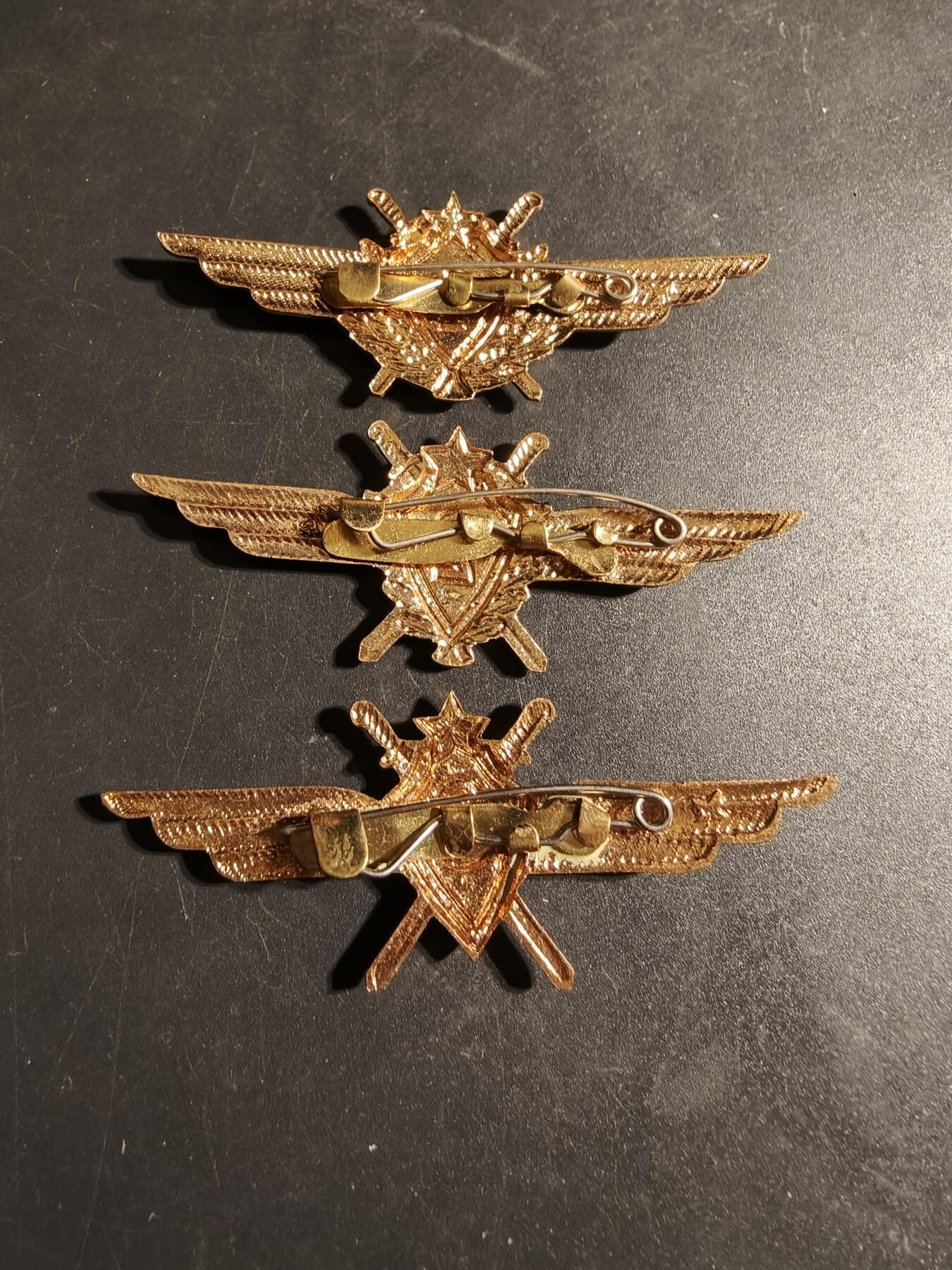 老王徽章第170期