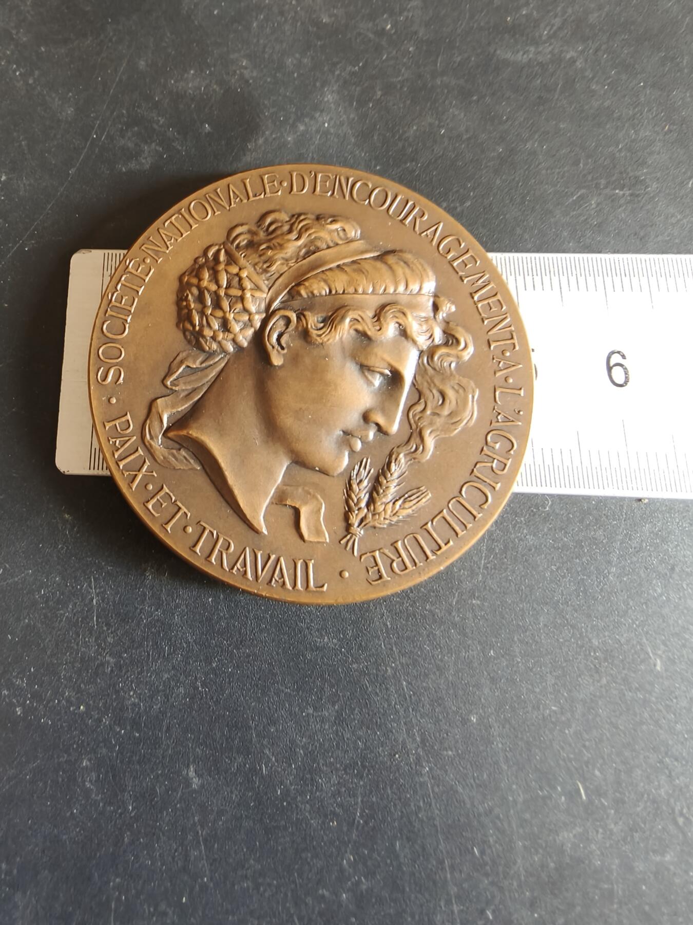 老王徽章第170期