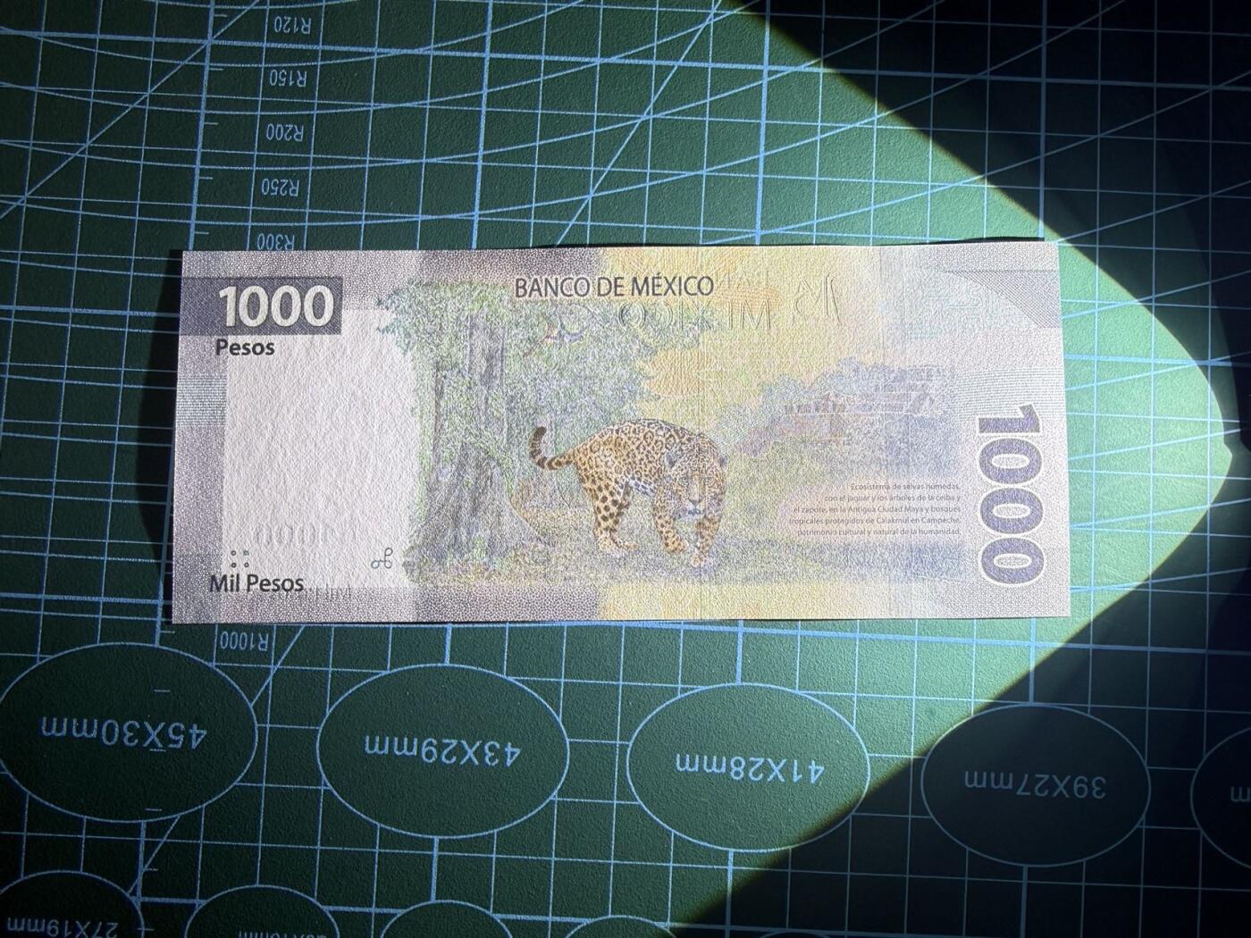 【炜奕收藏】，第五十三期