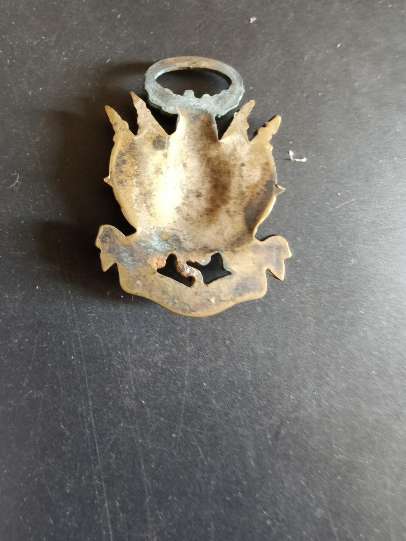 老王徽章第170期