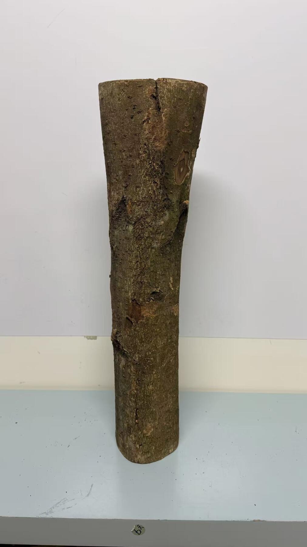 零元拍： S1-2 金丝楠 原木 风水柱 横财（材）带皮， 尺寸：57/15/11CM。抛光后金灿灿满香。最后一图为成品效果。