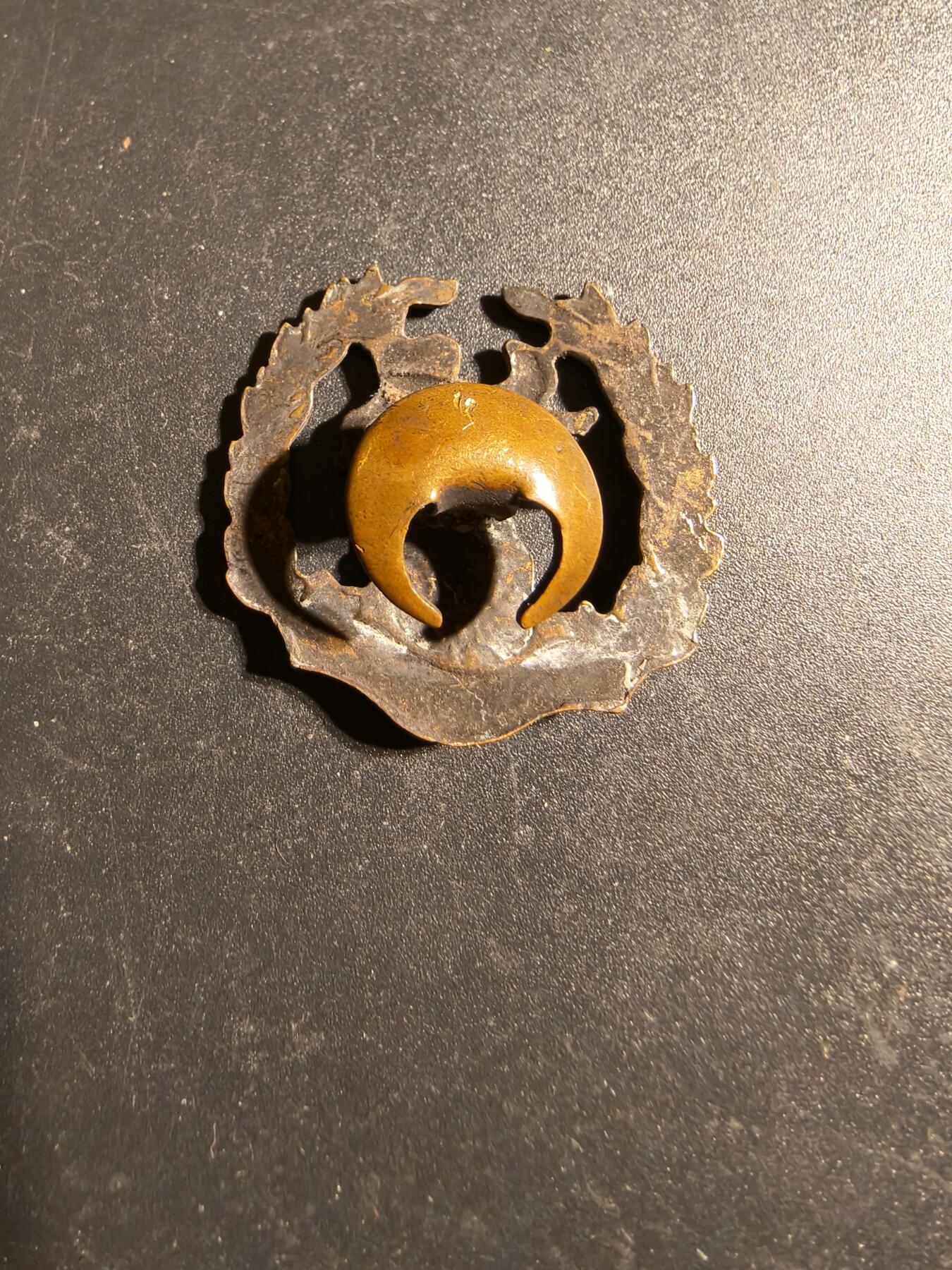 老王徽章第170期